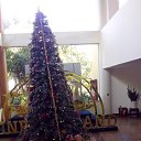 ���� �����, ����-���������, 45 ��� - ��������� 11 ������� 2016 � ������ ���� ����������