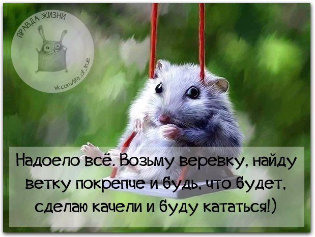   - 2  2016  15:48