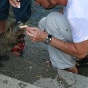 ���� ������ �� ������� ���� ����������