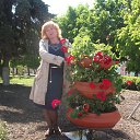 ���� ������, �������� - ��������� 1 ����� 2016 � ������ ���� ����������