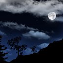 ���� ����, ������, 54 ���� - ��������� 15 ������� 2015 � ������ �������