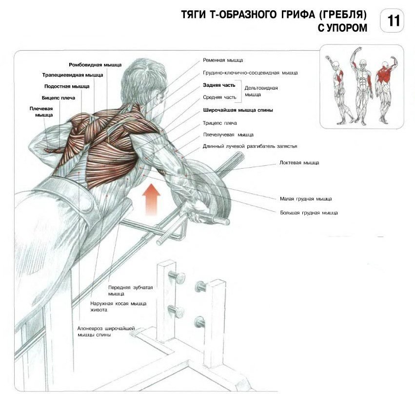 .-    -       ,  ... - 2