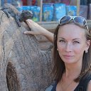 ���� �������, �����-���������, 40 ��� - ��������� 6 ����� 2016 � ������ ���� ����������