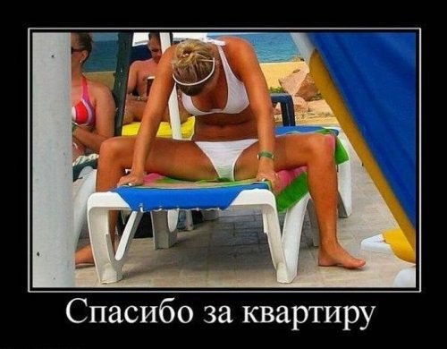  - 9  2015  13:55