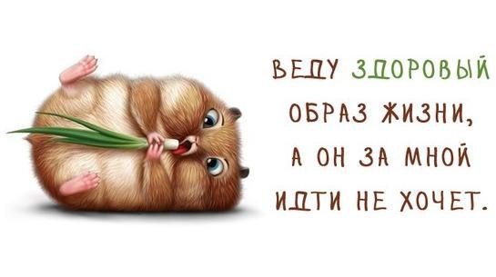  - ,  - 13  2015  13:49