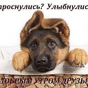 ���� ��������, �����-��������� - ��������� 9 ������� 2016 � ������ ������ ��������