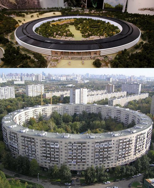    Apple   .   vs  