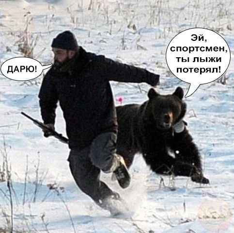    :D - 17  2015  14:36