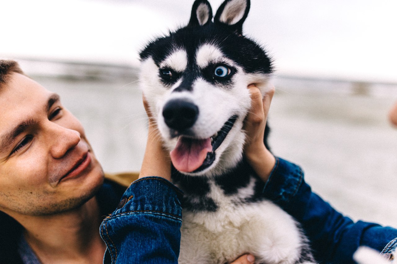 ph: [id273023496| ] - 5