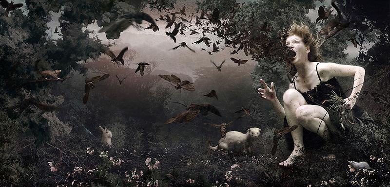  ,  !    / Alessandro Bavari /
