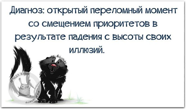   - 11  2016  17:46