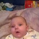 ���� ���������, ������ ��������, 36 ��� - ��������� 5 ������ 2015 � ������ ���� �������