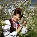 ���� ������, ����, 67 ��� - ��������� 5 ������ 2016 � ������ ���� ����������