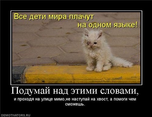 .https://fotostrana.ru/away?to=/sl/kxC2 - 19  2016  00:24