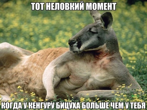  - 24  2015  21:35