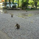 ����������-���������! �� ������� �������