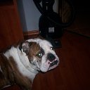 ������ ������� 2007 �� ������� ���� �������