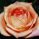 ���� Andrei, �������, 60 ��� - ��������� 13 ������ 2015 � ������ �����ۻ