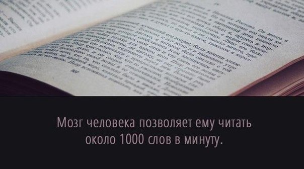 9 ,     - 9