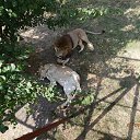  Sergey, , 63  -  3  2015    2015
