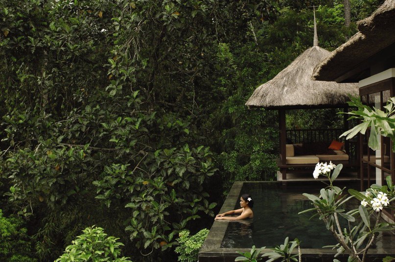     Ubud Hanging Gardens,  , 