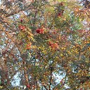 ���� ������, ������������, 43 ���� - ��������� 3 ������� 2015 � ������ ���� ����������