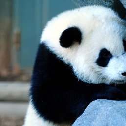 ���� ����, ������ ��������, 30 ��� - ��������� 5 ����� 2016