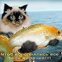 �������� - 10 ������� 2015 � 11:14