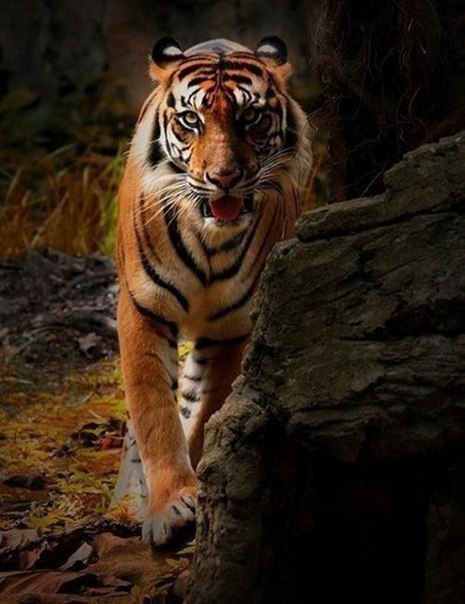   - 1  2015  03:03 - 5