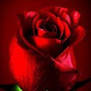 ���� Antonina, �������, 44 ���� - ��������� 3 ������� 2015 � ������ �adgh�