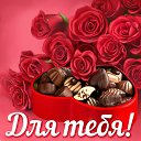 ���� ������, �����, 72 ���� - ��������� 5 ����� 2016 � ������ �������� ��������