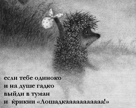 Art & Fun - 29  2015  12:32