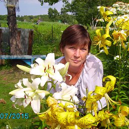 ���� �����, ������-�������, 51 ��� - ��������� 17 ������ 2015