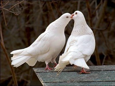 ������� ����� ����� � ���� ������ ����� ���������.