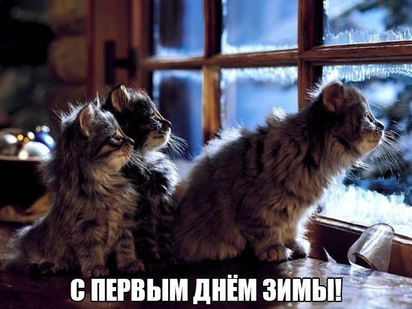  -  - 1  2015  05:20