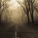 ���� �����, ������, 36 ��� - ��������� 29 ������� 2016 � ������ ������ ��������