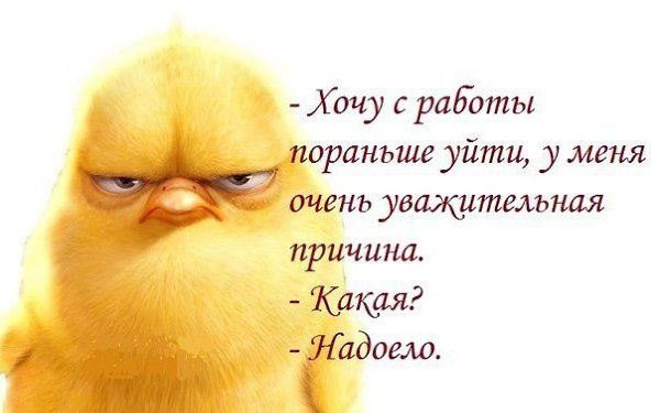  - ,  - 19  2015  02:38