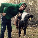 ���� ���������, ����-�����������, 33 ���� - ��������� 18 ������� 2015 � ������ ���� ����������