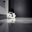 ���� ���������, ������, 50 ��� - ��������� 14 ������ 2016 � ������ ������ �����