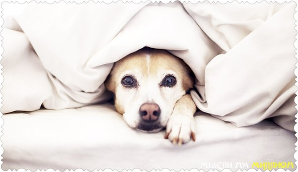 �� ������, ��� ������ ������ � ��������? ������, ��� ��� ������ �������� ������������. ������ ���, ...