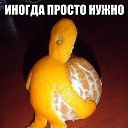���� Svetlana, �������, 36 ��� - ��������� 2 ������� 2015 � ������ ������ ��������