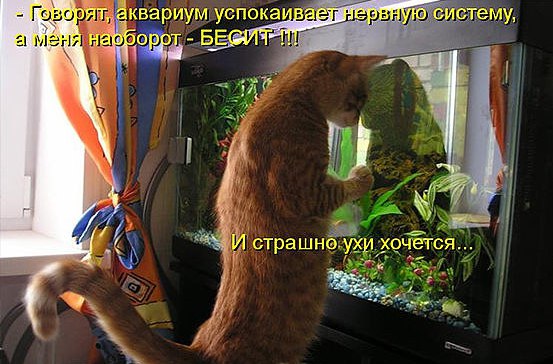   - 2  2016  16:59