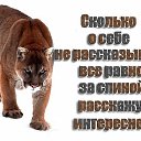 ���� ������, �������������, 52 ���� - ��������� 10 ������� 2016 � ������ ���� ����������