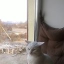 ���� �����, ����� - ��������� 3 ������ 2015 � ������ ������ ��������