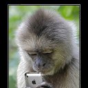 ))))))))))))) �� ������� �������