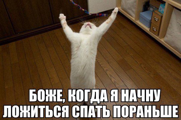    :D - 18  2016  19:32