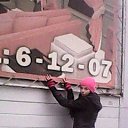 ���� ���������, ������, 36 ��� - ��������� 27 ������ 2015 � ������ ���� ����������