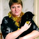 ���� �����, ������, 51 ��� - ��������� 15 ������� 2016