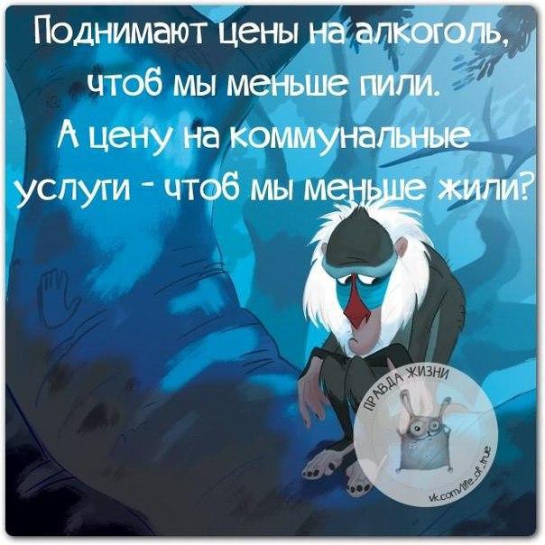   - 17  2015  14:12