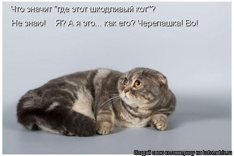 -- ?  ͨ  ,   .   ..    ...